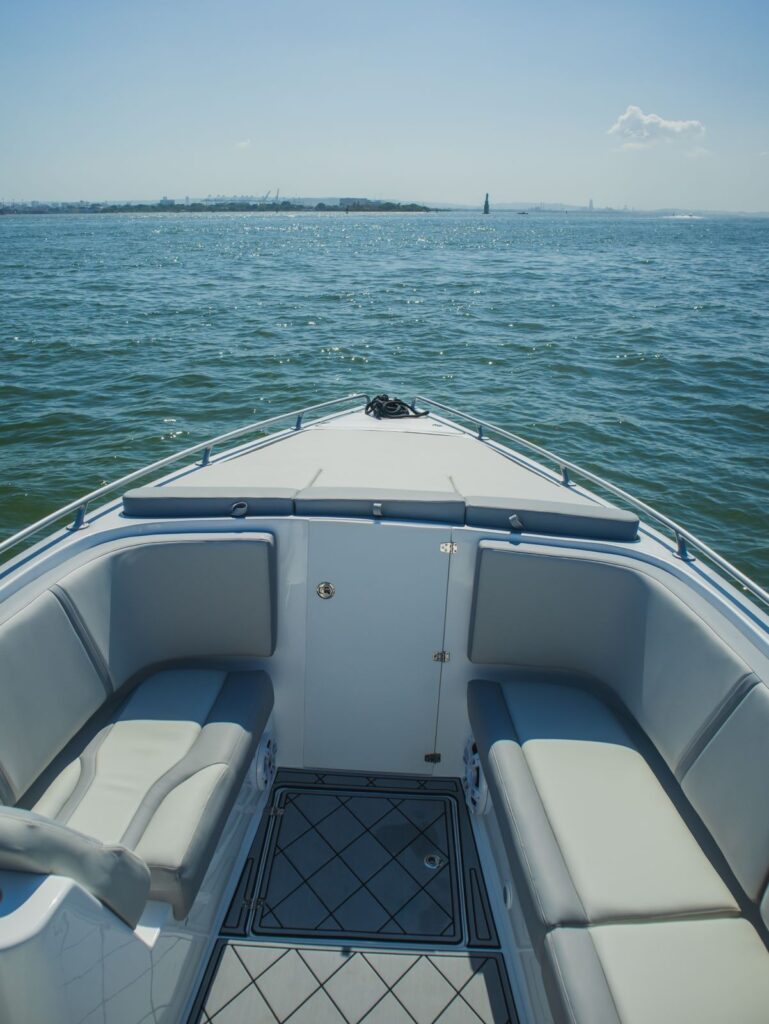 Blue Horizon 38